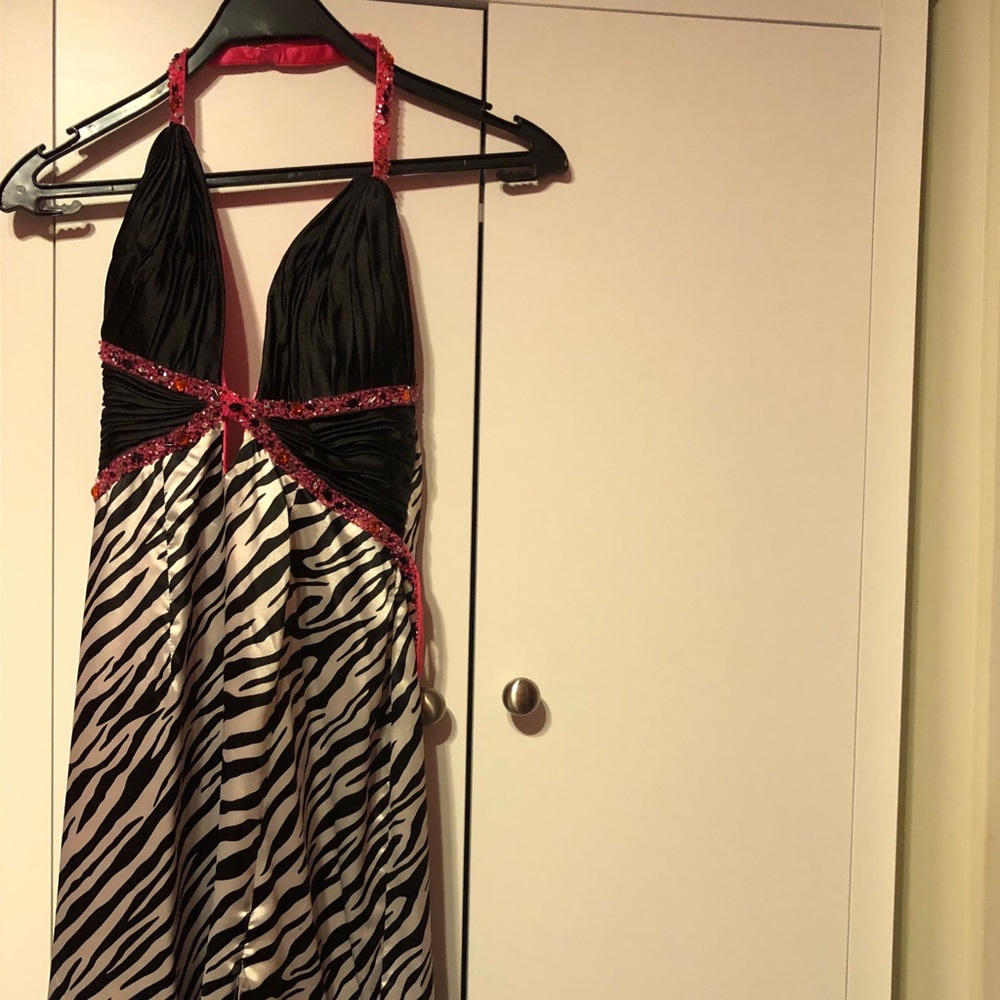 Beautiful zebra dress